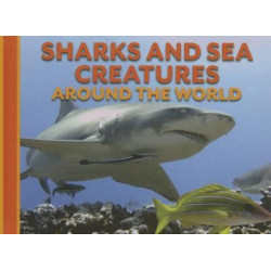 Sharks and Sea Creatures Around the World