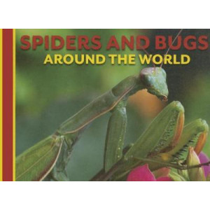 Spiders and Bugs Around the World