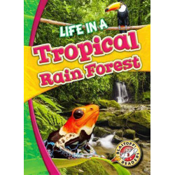 Life in a Tropical Rain Forest