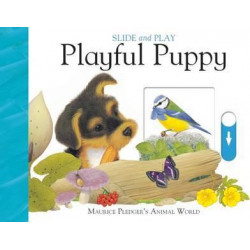 Slide and Play: Playful Puppy