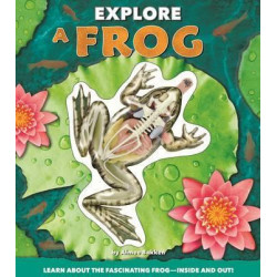 Explore a Frog