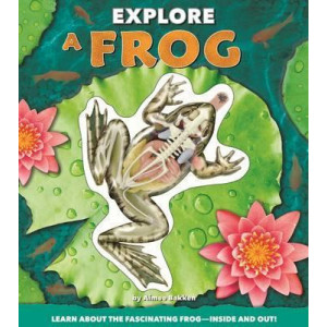 Explore a Frog