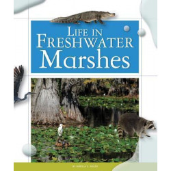 Life in Freshwater Marshes