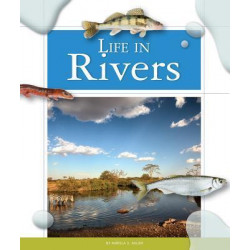 Life in Rivers