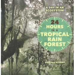 24 Hours in a Tropical Rain Forest