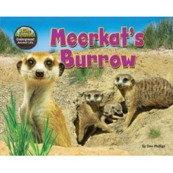 Meerkat's Burrow
