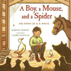 A Boy, a Mouse, and a Spider