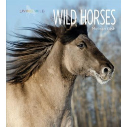 Living Wild: Wild Horses