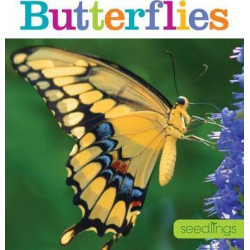 Seedlings: Butterflies