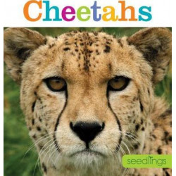 Seedlings: Cheetahs