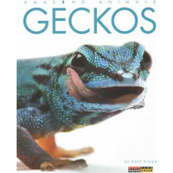 Amazing Animals: Geckos