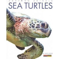 Amazing Animals: Sea Turtles