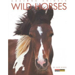 Amazing Animals: Wild Horses