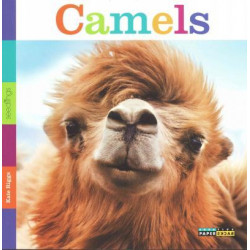 Seedlings: Camels