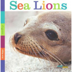 Seedlings: Sea Lions