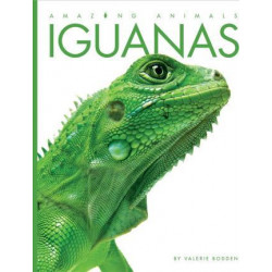 Amazing Animals: Iguanas
