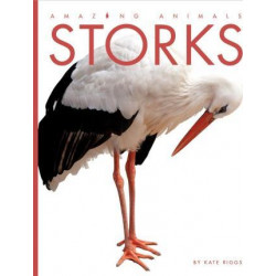Amazing Animals: Storks