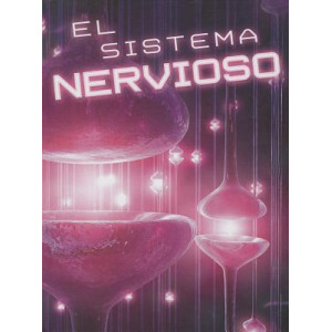 El Sistema Nervioso (the Nervous System)