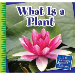 What Is a Plant