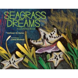 Seagrass Dreams