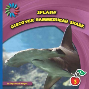 Discover Hammerhead Shark