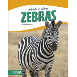 Animals of Africa: Zebras