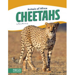Animals of Africa: Cheetahs