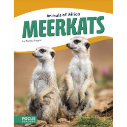 Animals of Africa: Meerkats