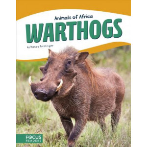 Animals of Africa: Warthogs
