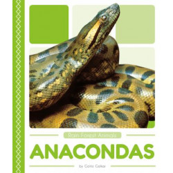 Rain Forest Animals: Anacondas