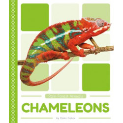 Rain Forest Animals: Chameleons