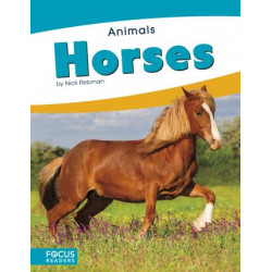 Animals: Horses