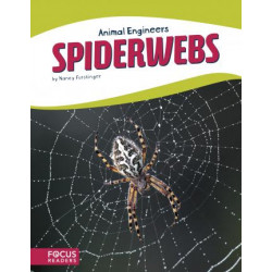 Animal Engineers: Spiderwebs