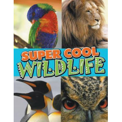 Super Cool Wildlife