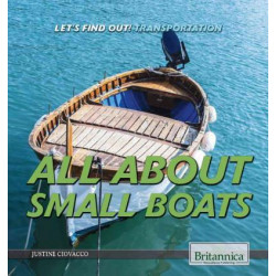 All about Small Boats