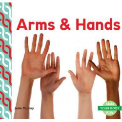 Arms & Hands