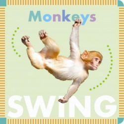Monkeys Swing