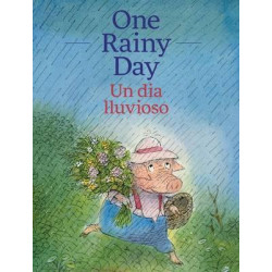 One Rainy Day / Un Dia Lluvioso