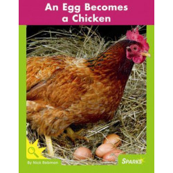 An Egg Becomes a Chicken