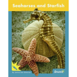 Seahorses and Starfish