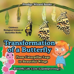 Transformation of a Butterfly