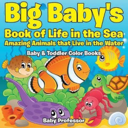 Big Baby's Book of Life in the Sea