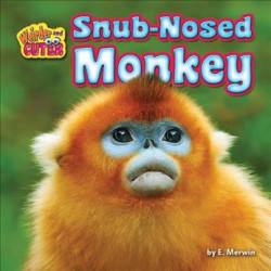 Snub-Nosed Monkey