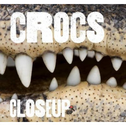 Crocs CloseUp