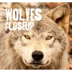 Wolves CloseUp