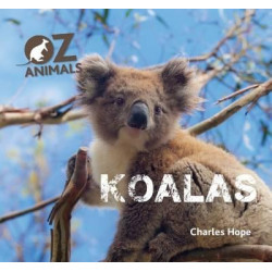 Koalas OZ Animals
