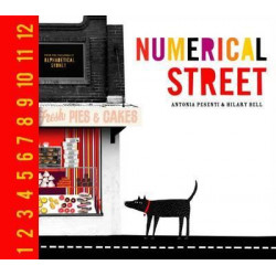 Numerical Street