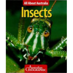 All About Australia: Insects