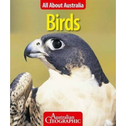 All About Australia: Birds