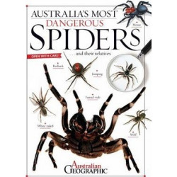 Australia's Most Dangerous Spiders